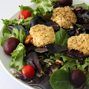 Warm Hazelnut Crusted Goat Cheese with Mixed Baby Green Salad - Evo America, LLC - Official Site