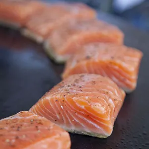 Grilled Salmon on the Evo Flattop Griddle