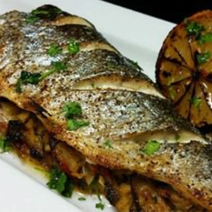 Seared Trout - Evo America, LLC - Official Site